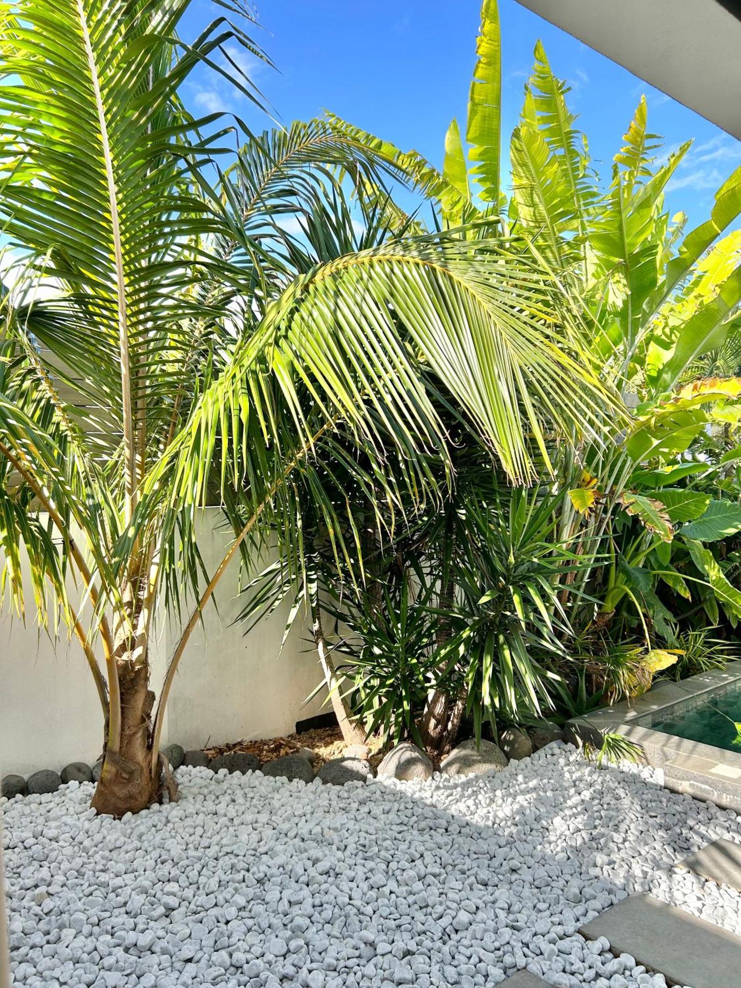 Le Yucca 974 By J&V Villa Сен-Пиер Екстериор снимка